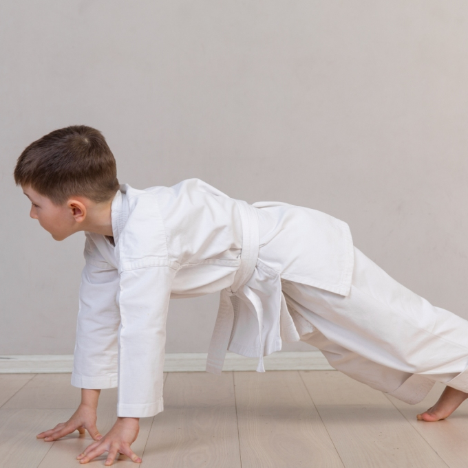 детская школа карате москва годзю рю детская школа карате москва годзю рю
